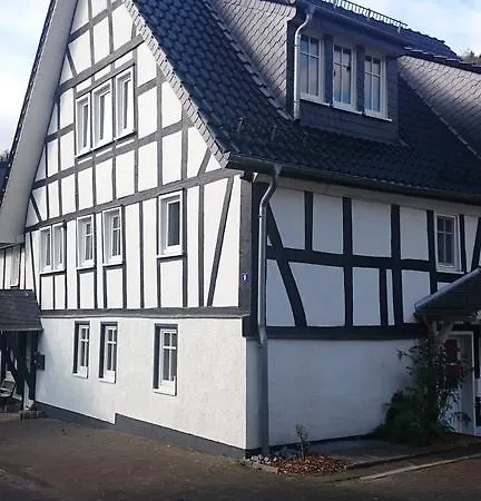 Apartment Aales Huss Netphen-sohlbach *